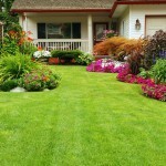 Landscaping & Irrigation Baton Rouge