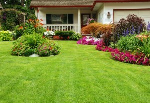 Landscaping & Irrigation Baton Rouge